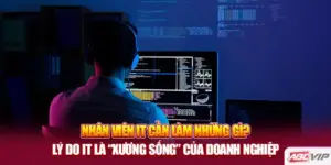 Nhân Viên IT Cần Làm Những Gì? Lý do IT Là “Xương Sống” Của Doanh Nghiệp